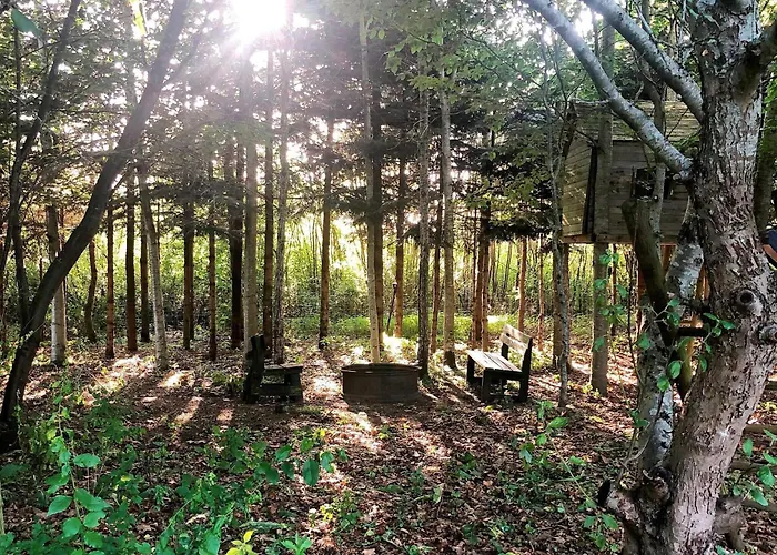 度假居 6 Person In